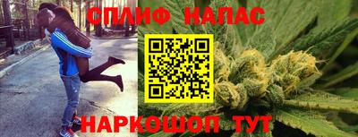 кокаин Новоалександровск